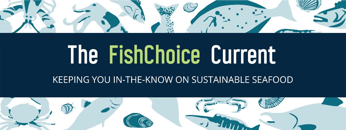 Our latest newsletter features:

🔎 Traceability Provider BlueTrace
💻 We're hiring! 3 new positions posted
🙌 FishChoice Partners <a href="/KingKampachi/">King Kampachi</a>  
+ Tribune Seafood
🦐 Sustainable #seafood news + jobs

Check it out here → fishchoice.com/new-press
