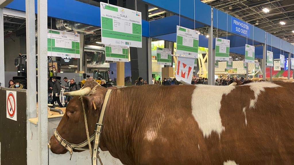 Félicitations à tous les agriculteurs et éleveurs mayennais présents au <a href="/Salondelagri/">Salon International de l'Agriculture</a>. Beaucoup repartent avec des prix. Vous êtes les acteurs de l’excellence de l’agriculture Mayennaise.