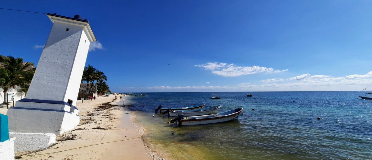 InPuertoMorelos tweet media
