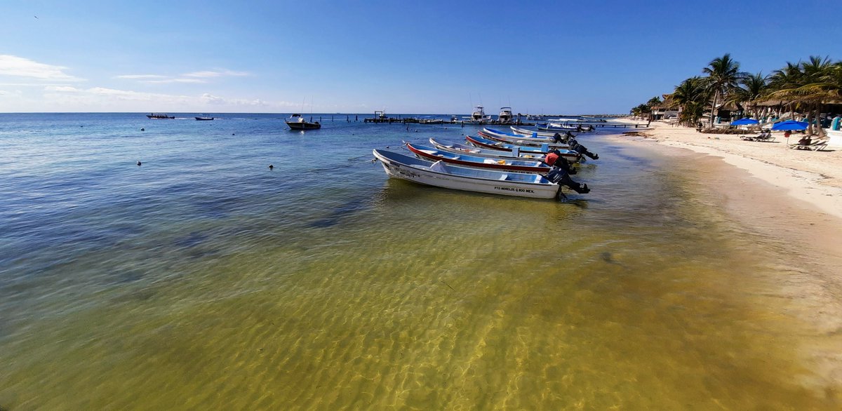 InPuertoMorelos tweet media