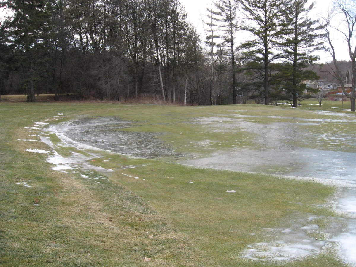 Kawartha Golf Club Turf Department tweet media