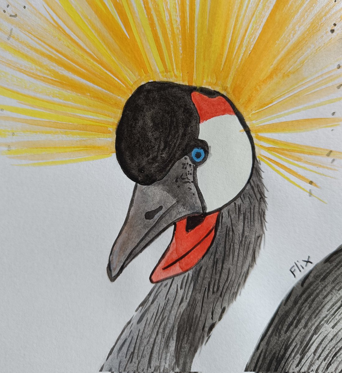 Birbfest 26: East African Crowned Crane 
As a kid we would compare my brother to this bird, since his hair was just as chaotic 🙈

instagram.com/p/CalDpdgoAS-/…
#birds #nature #watercolorart