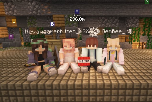 Imagine SMP tweet media