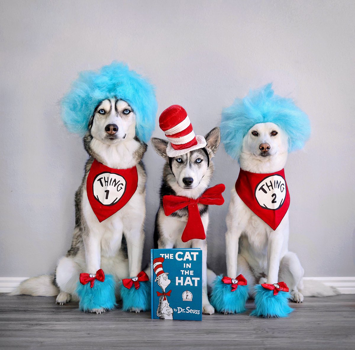 2Husketeers tweet media