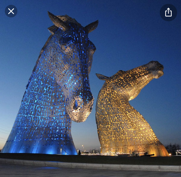 Lindsay Boyd💙 tweet media