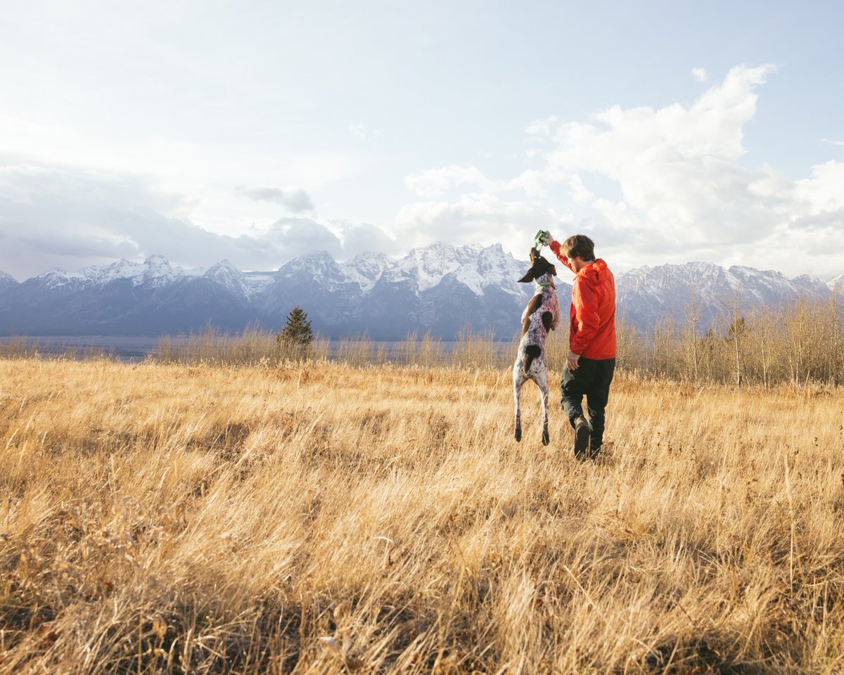 Morgan Phillips tweet media