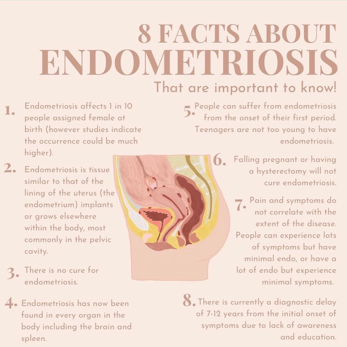 Z a a k i r a h🍉 tweet media