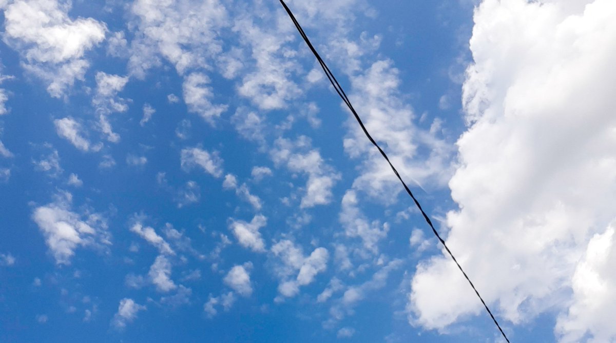 han☁️ tweet media