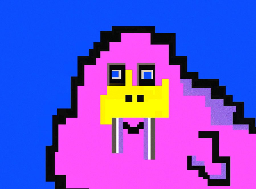 wallythewalrus tweet media