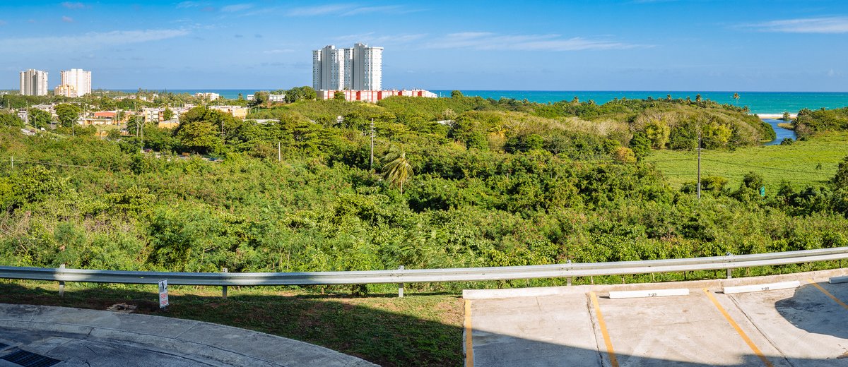 BullTangClan tweet media