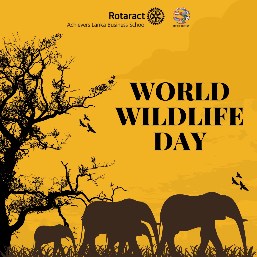 In4Factory's tweet image. "We don't own the Planet Earth, We belong to it. And we must share it with our wildlife." - Steve Irwin

#Rotaract #Rotaract3220 #ServetoChangeLives #RACALBS  #ServingByEmbracingTheChange #InternationalVoluntary #RotaractInternational #WorldWildlifeDay