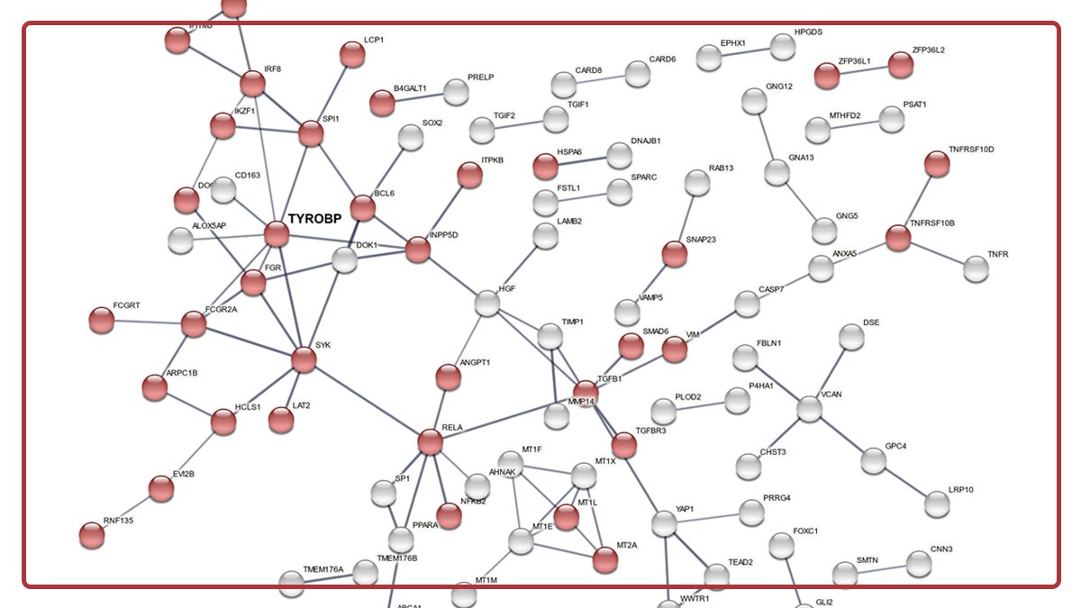 PREPRINT by Jordi Creus-Muncunill (<a href="/jordicreus/">Jordi Creus</a>), Michelle Ehrlich et al. Deletion of the microglial transmembrane immune signaling adaptor TYROBP ameliorates #HuntingtonsDisease mouse phenotype LEARN MORE👉🏼doi.org/10.1101/2022.0… #HD #microglia #TYROBP