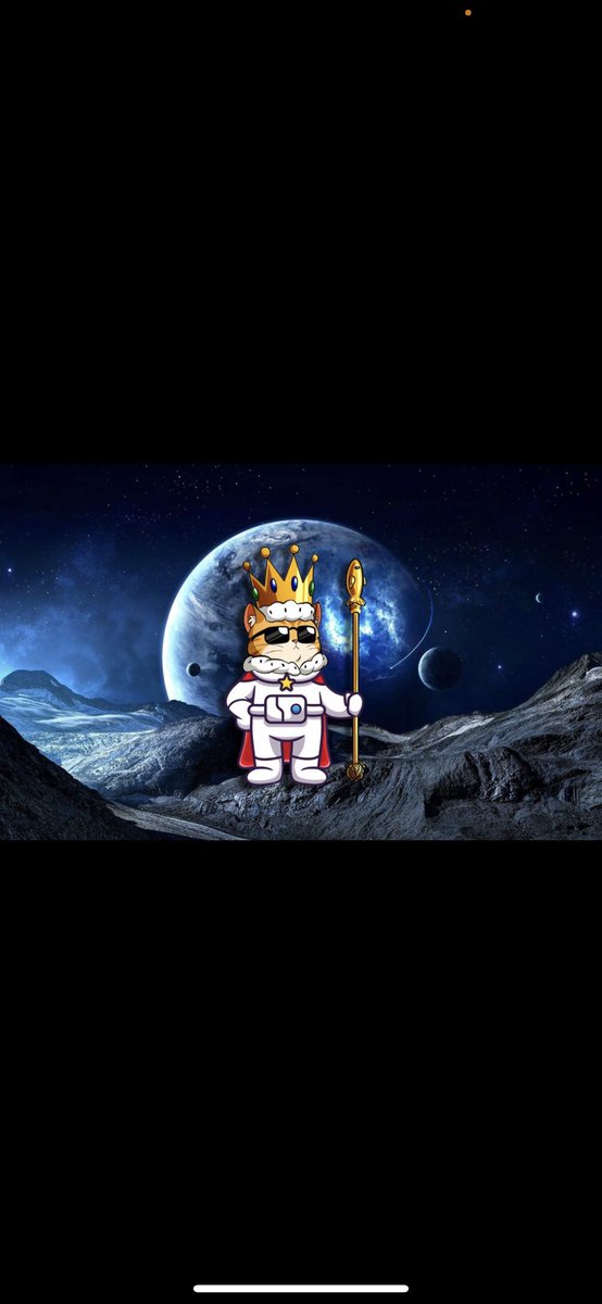 TerryGunn8's tweet photo. @KingCATCOIN @terrytibbs100 #KingCatCoin #KCat

Big things big things😉 https://t.co/TmF5zNZXHX