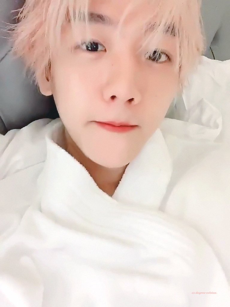 Baekhyun3000_'s tweet photo. ▪︎BAEK Y SU BELLA FORMA DE DESPERTAR 🤍😍

Ya se sabe que Baek tiene una tierna y linda personalidad y esa carita bella al natural lo complementa perfecto!

#BAEKHYUN #백현 #EXO #Baekhyun_bambi 
𝓘𝓬𝓮 𝓺𝓾𝓮𝓮𝓷 👑 https://t.co/rw5j8NbrAs