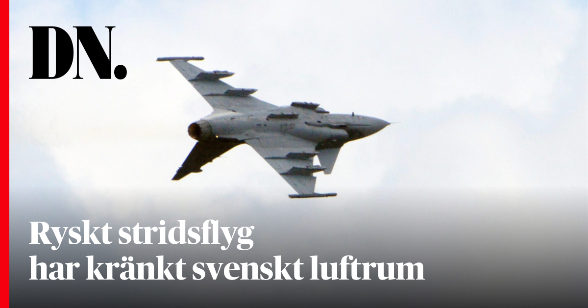 dagensnyheter tweet picture