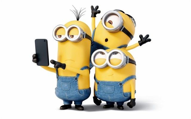Sol_Minions tweet media