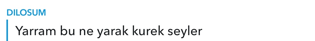 dilani nasil cildirtiyorum oynat bakalim