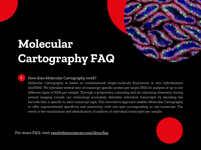 ResolveBioSci's tweet photo. You've got questions about our technology, sample compatibility, probe design, and more? We've got you covered. Here we summarized the most asked questions for you. https://t.co/btNeVh2Jn9

#spatialtranscriptomics #spatialbiology #singlecell #Microscopy #Sequencing https://t.co/oYceFvTwqb