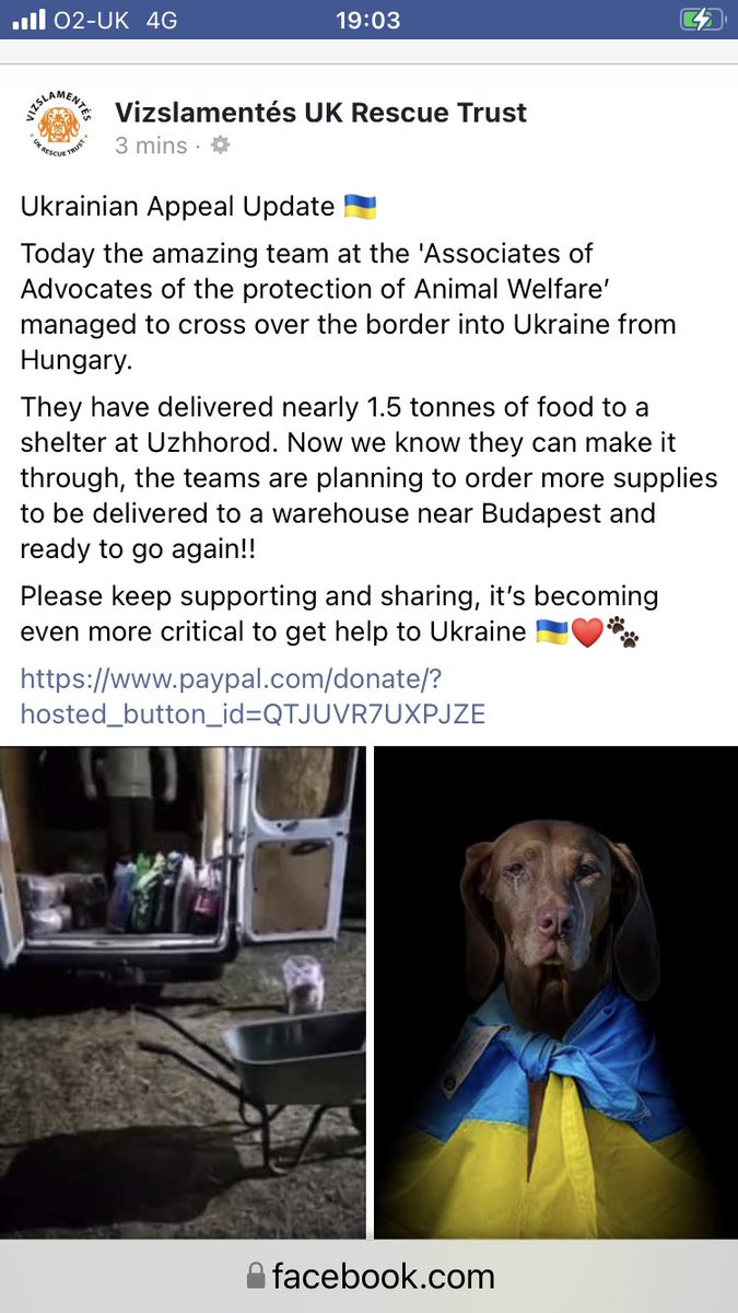 Update on the coalition of Charities many of you donated to for animal feed and meds etc. The first run made it through so many more planned now we know it works. 👇🏻🐕🐈🐈🐴🐴 Small Charity with rapid response.. thank you ⁦<a href="/VizslamentesUK/">VizslamentesUK</a>⁩ and thank YOU donors 🙏