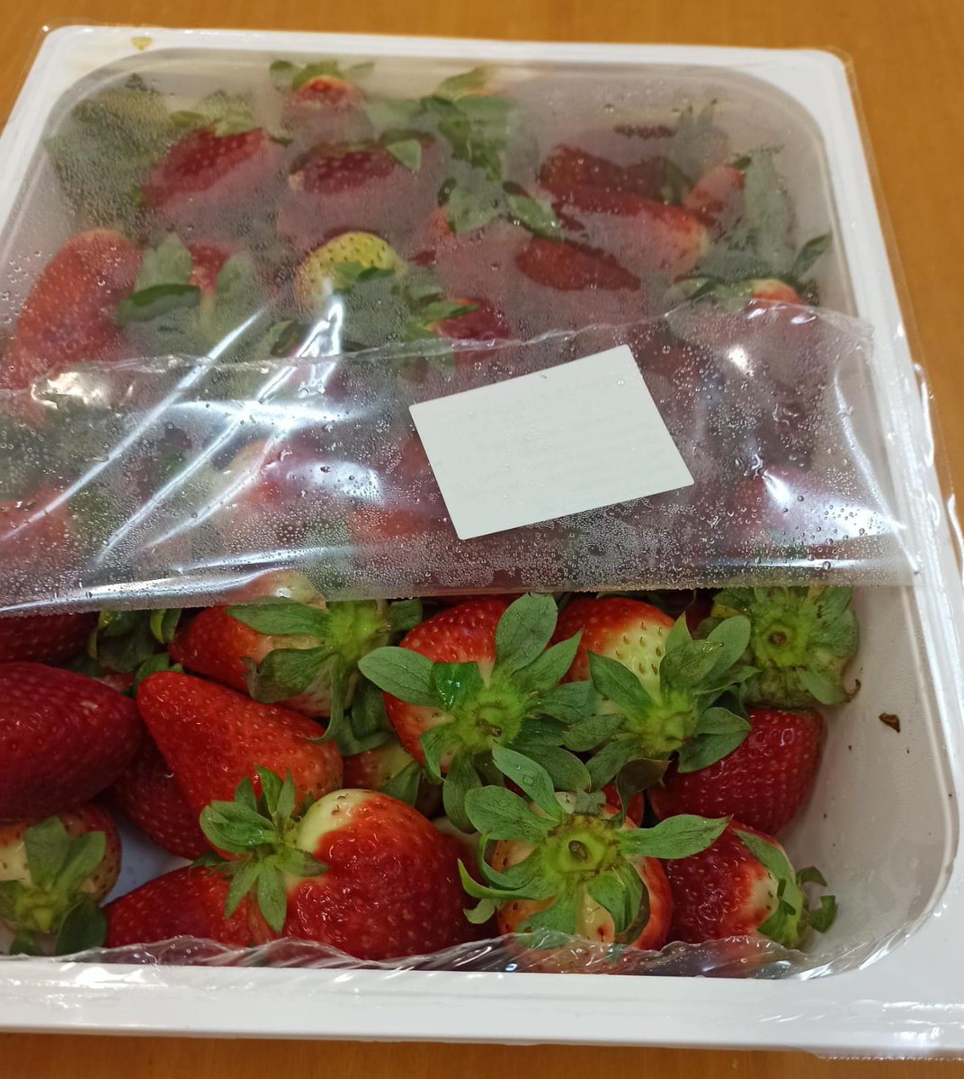 CEIP Tierno Galván tweet media