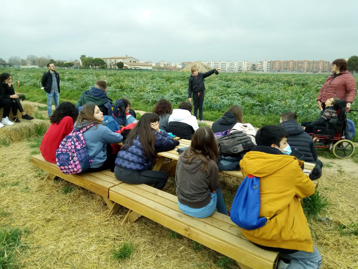 InsDali's tweet photo. Avui li tocava el torn a la classe de 1rC de l'ESO. Hem visitat @caltrilla dins del projecte d'horts verticals que estem fent. Hem plantat enciams i hem preguntat i après moltes coses! Gràcies com sempre Pau i Núria! https://t.co/UlrcGD3EUz