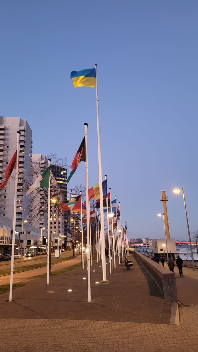 De Vlaggeparade Rotterdam hijst vanuit solidariteit met Oekraïne hun vlag.