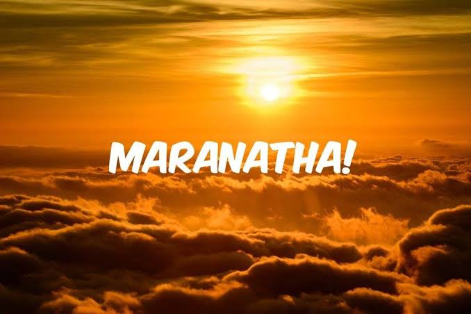 pedrix2's tweet image. Con una sola palabra y tantos problemas toman el lugar que les corresponde.