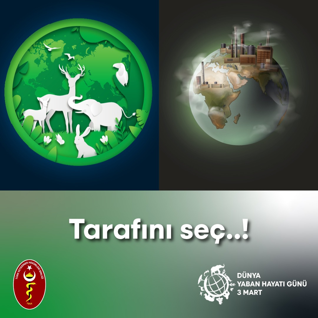 '3 MART DÜNYA YABAN HAYATI GÜNÜ'
Tarafını seç..!

#DünyaYabanHayatıGünü    #WWD2022