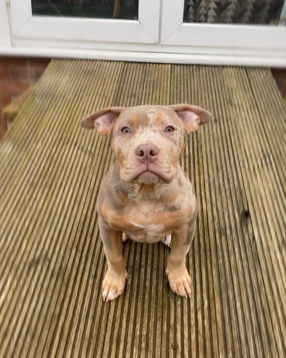 Kayikçi (@el_kayikci) on Twitter photo 