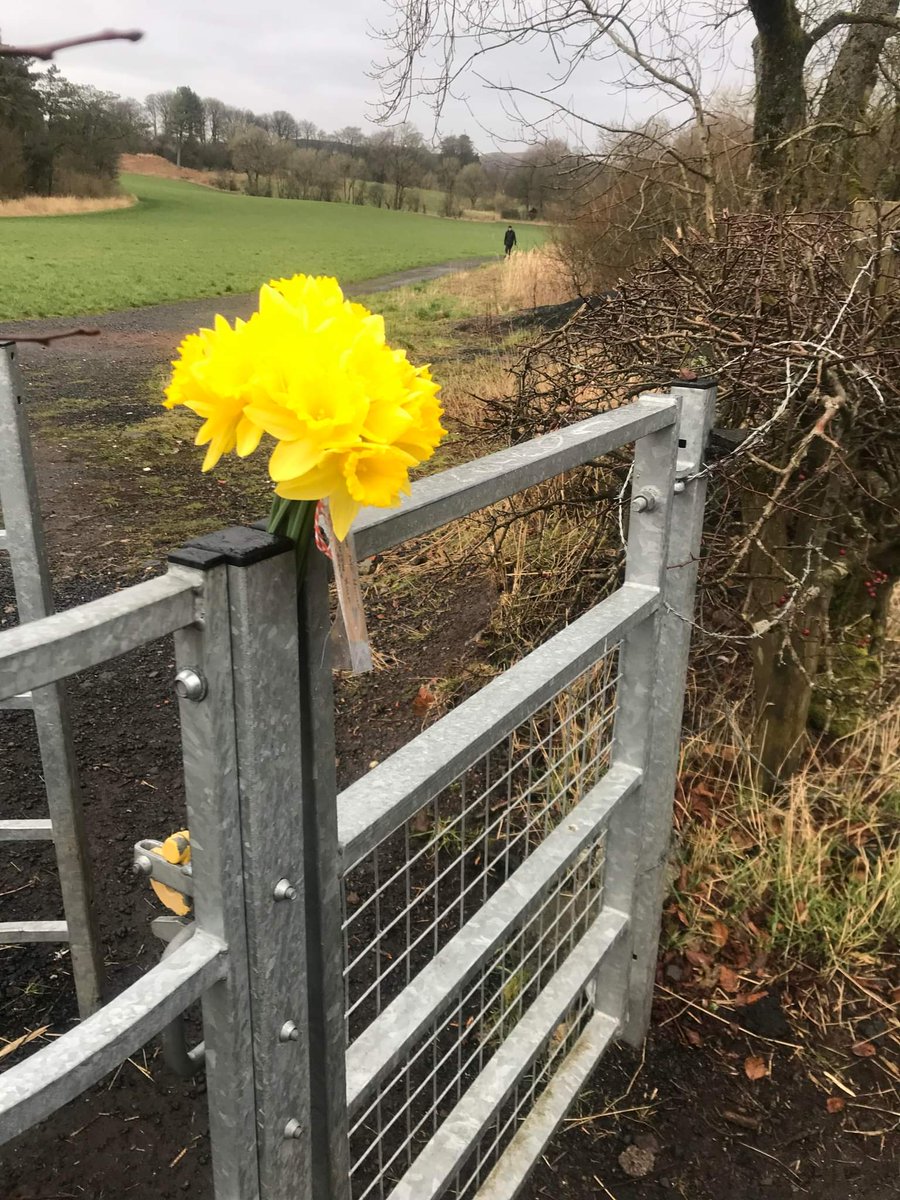 NeilstonChurch's tweet photo. Did anyone find a bunch of daffodils today? 👀 Here is a clue. https://t.co/4CSOe76EpL