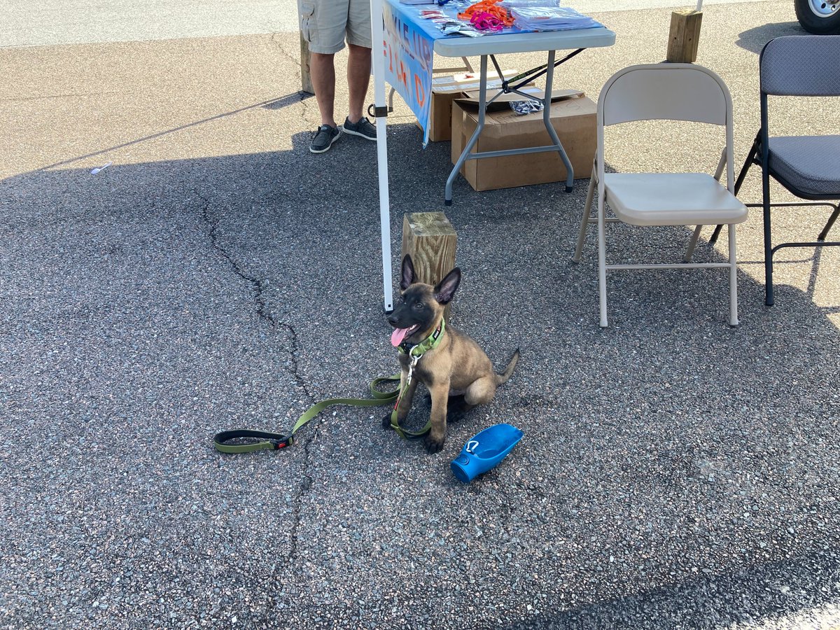 FHPGainesville's tweet photo. Levy County - two legged & four legged friends came to watch the FHP K-9 demonstrations at the Williston Miles of Smiles Event. K-9's are a important tool used to discover narcotics, stolen property, human trafficking, identify theft, etc. #FHPK-9's! https://t.co/FtoOECNfe8