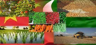 shahsabg's tweet photo. #CM @UsmanAKBuzdar #cabinet directed a ministerial committee  #lease #approving under #CPEC  500 to 5,000 acres of land 4 corporate farming to create job opportunities &amp; to modernise #agriculture sector 4 food security.planned to establish 7 agro-economic zones along #CPEC route https://t.co/m0oX2JX6kE