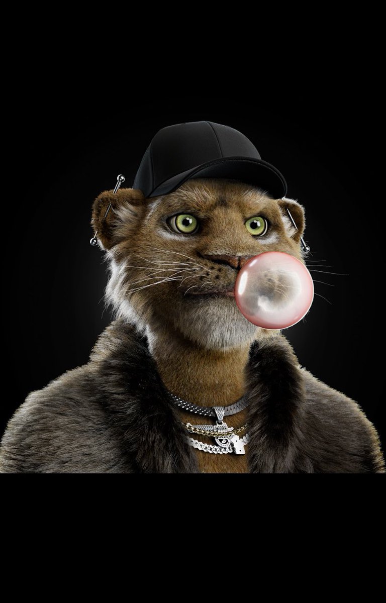 Crypto_Spider10's tweet photo. @Memphis @PUMA Oh yeah , the only cat u need @bigcats_nft ❤️‍🔥🦁👑 https://t.co/PC2yu3VSVE