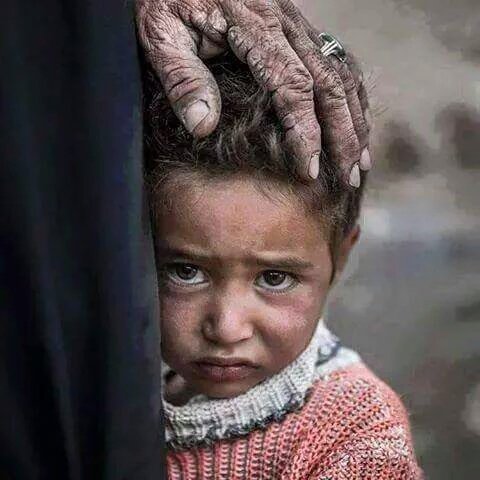 SezginOzbay's tweet photo. "Acı duyabiliyorsan canlısın başkalarının acısını duyuyorsan insansın." demiş Tolstoy. https://t.co/xe5zdolAQ4
