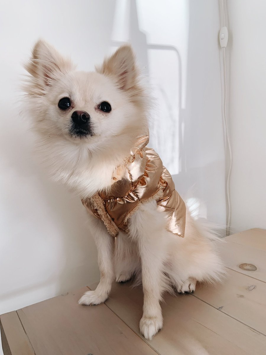 Penny ☁️ tweet media