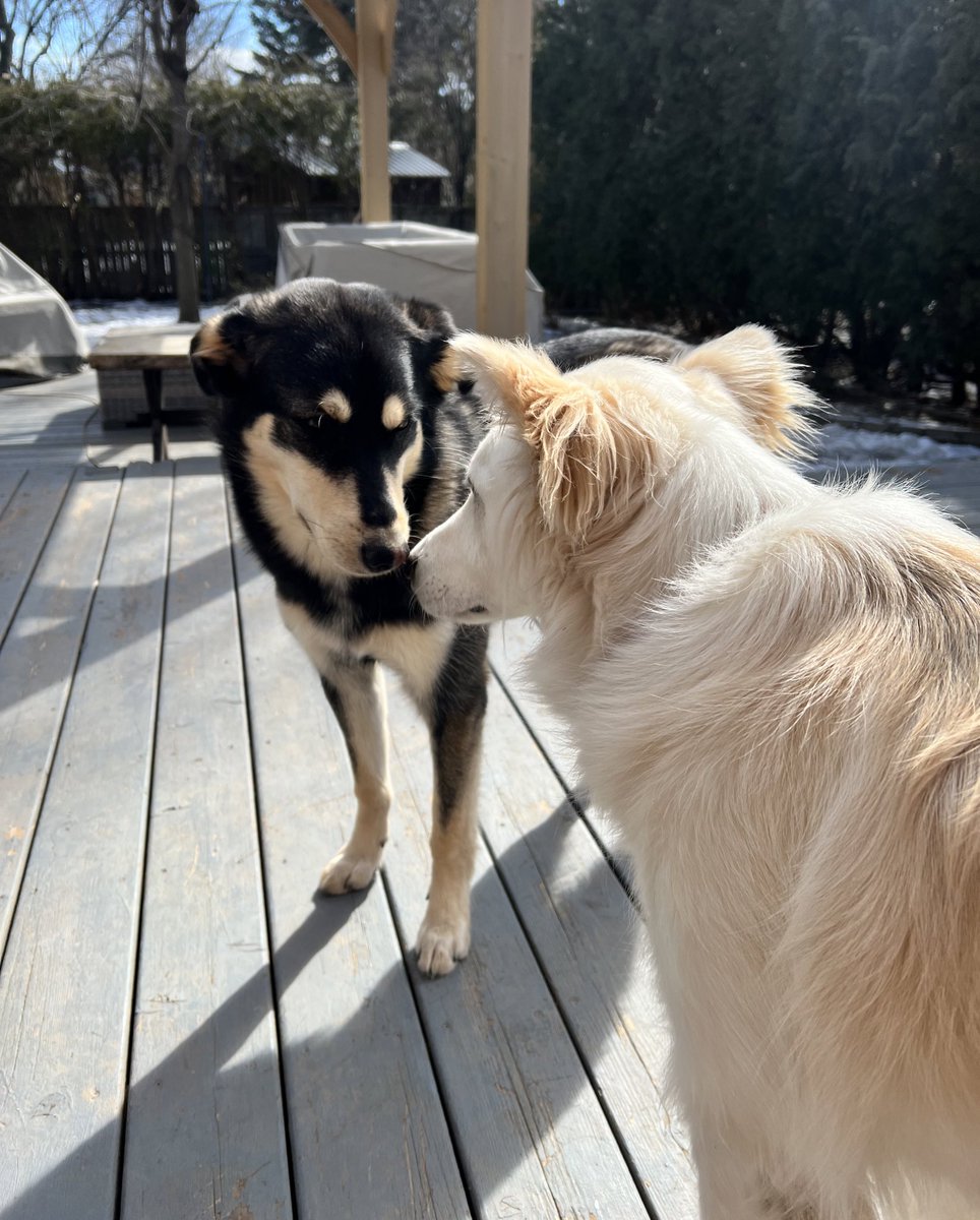 Mishka & Kaneki tweet media