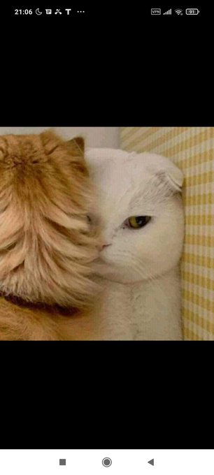 When you try to please a stubborn woman https://t.co/QDgDCx2tjU<a href="/tag/netflix"class="tags"><span>#netflix</span></a>