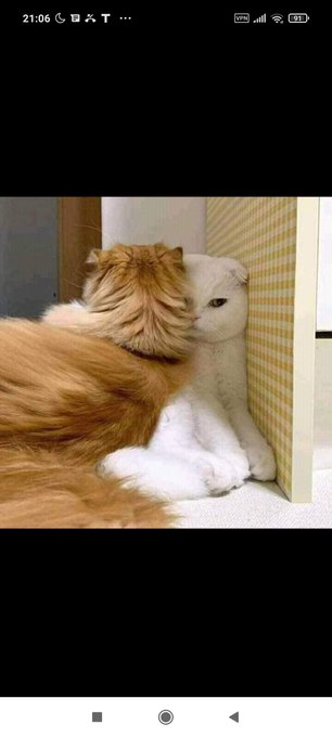 When you try to please a stubborn woman https://t.co/QDgDCx2tjU<a href="/tag/netflix"class="tags"><span>#netflix</span></a>