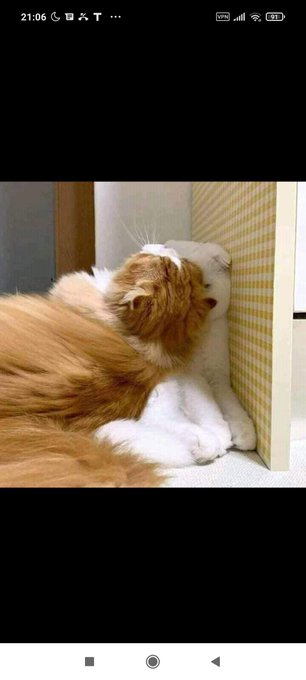 When you try to please a stubborn woman https://t.co/QDgDCx2tjU<a href="/tag/netflix"class="tags"><span>#netflix</span></a>