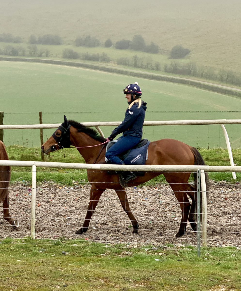 Small but mighty! #KnightSalute <a href="/MFHarrisRacing/">Milton Harris</a> <a href="/SirPercy_sire/">Sir Percy</a> 🐎⭐️🐎