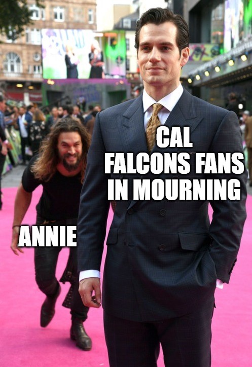 CalFalconCam (@calfalconcam) on Twitter photo 