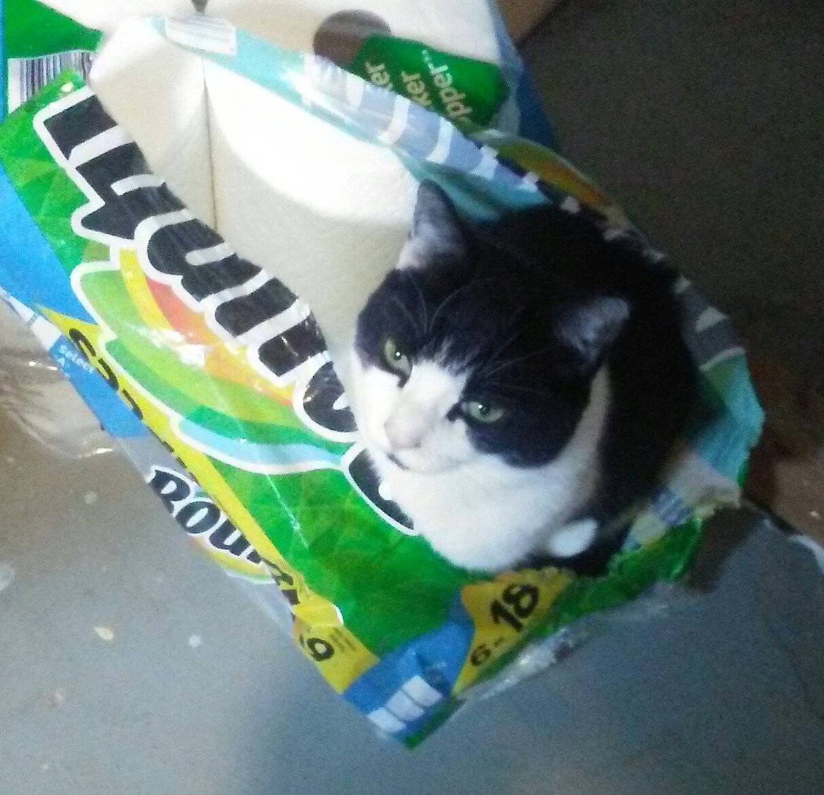 Bounty: The quicker kitty picker upper