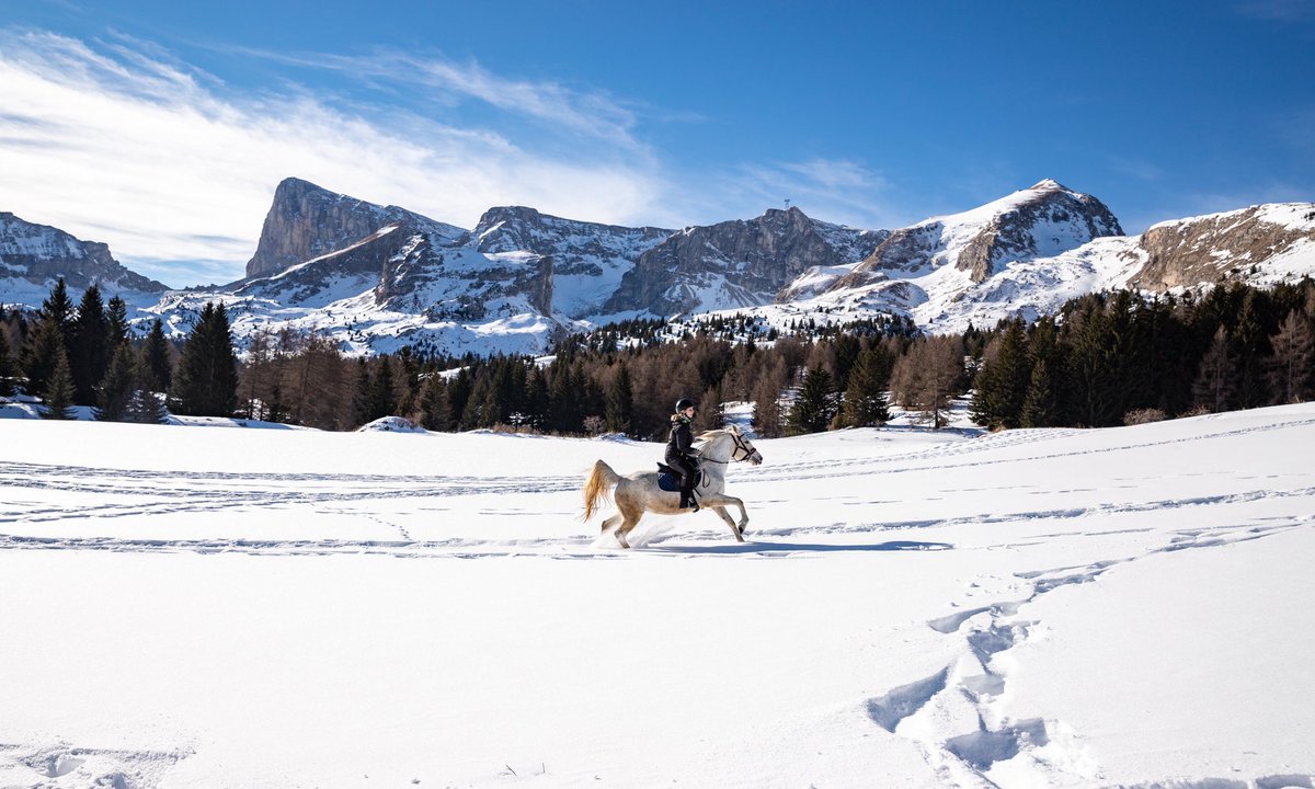 itinera_magica's tweet image. Un de mes plus beaux souvenirs du #Dévoluy : galoper au pied du pic de Bure dans des champs de poudreuse éblouissants, sous le soleil des Hautes #Alpes. Un moment magique… #MagnifiqueFrance 
📸 @Foehn_Photo &amp;amp; moi