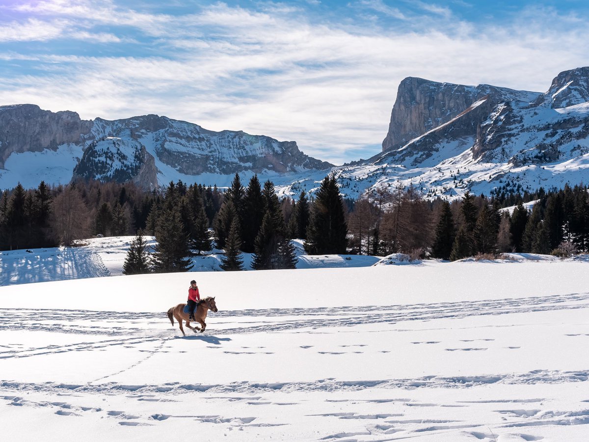 itinera_magica's tweet image. Un de mes plus beaux souvenirs du #Dévoluy : galoper au pied du pic de Bure dans des champs de poudreuse éblouissants, sous le soleil des Hautes #Alpes. Un moment magique… #MagnifiqueFrance 
📸 @Foehn_Photo &amp;amp; moi