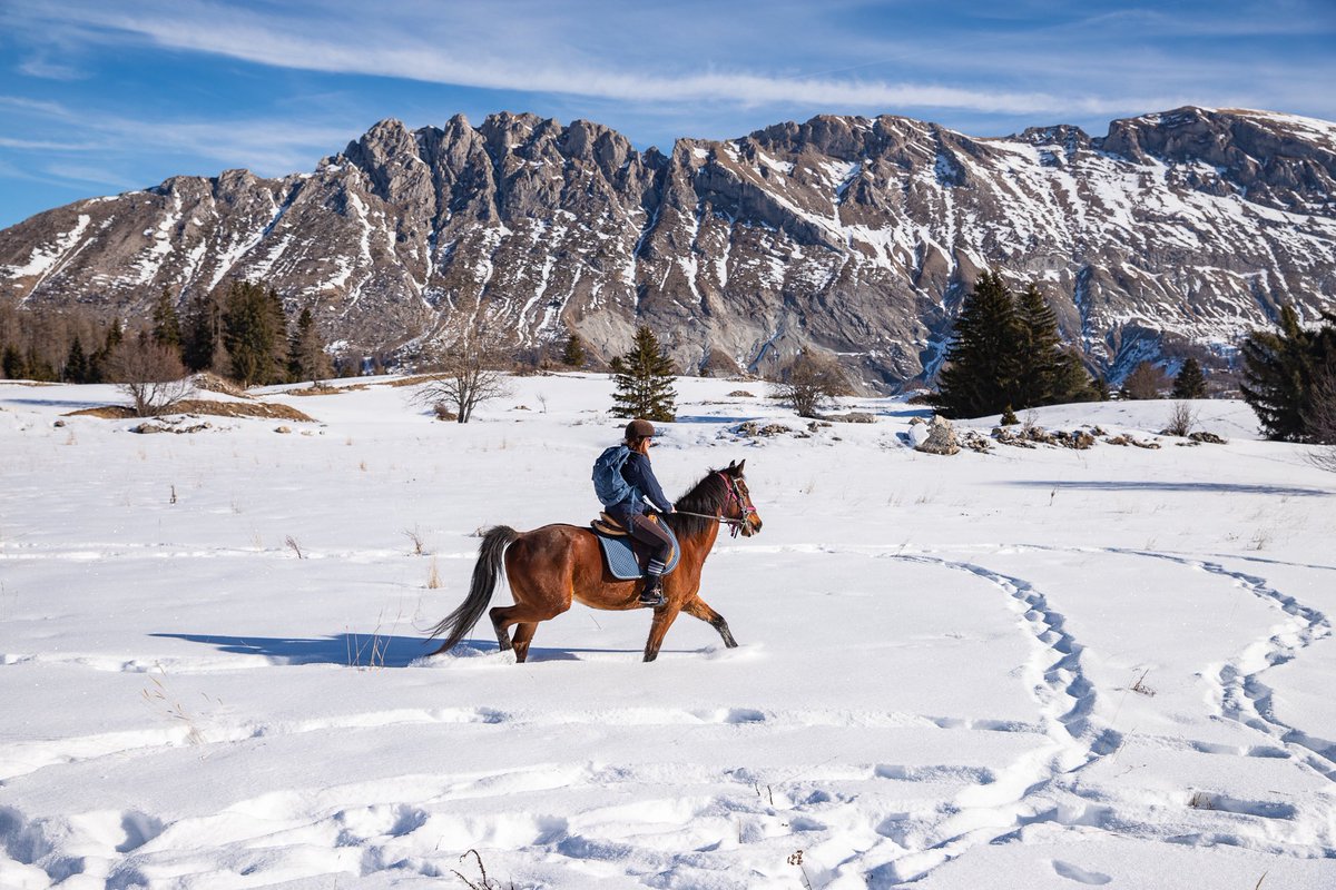 itinera_magica's tweet image. Un de mes plus beaux souvenirs du #Dévoluy : galoper au pied du pic de Bure dans des champs de poudreuse éblouissants, sous le soleil des Hautes #Alpes. Un moment magique… #MagnifiqueFrance 
📸 @Foehn_Photo &amp;amp; moi