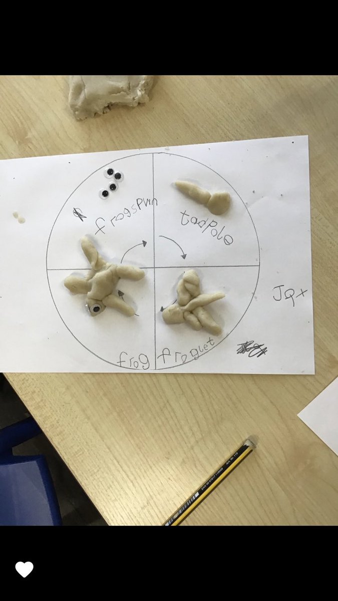 Eyfsmarshside's tweet photo. Take a look at our amazing life cycle models. We have been learning about different animal life cycles, this week we looked at a frog’s 🐸 https://t.co/2GgtLwTwTo
