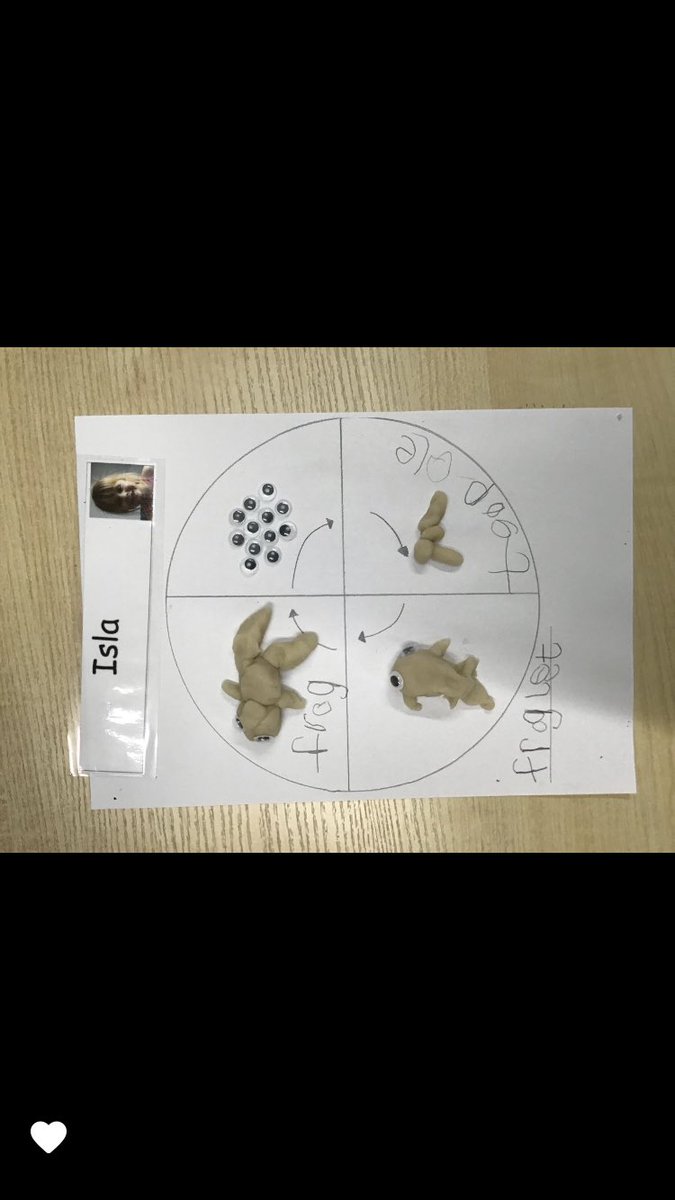 Eyfsmarshside's tweet photo. Take a look at our amazing life cycle models. We have been learning about different animal life cycles, this week we looked at a frog’s 🐸 https://t.co/2GgtLwTwTo