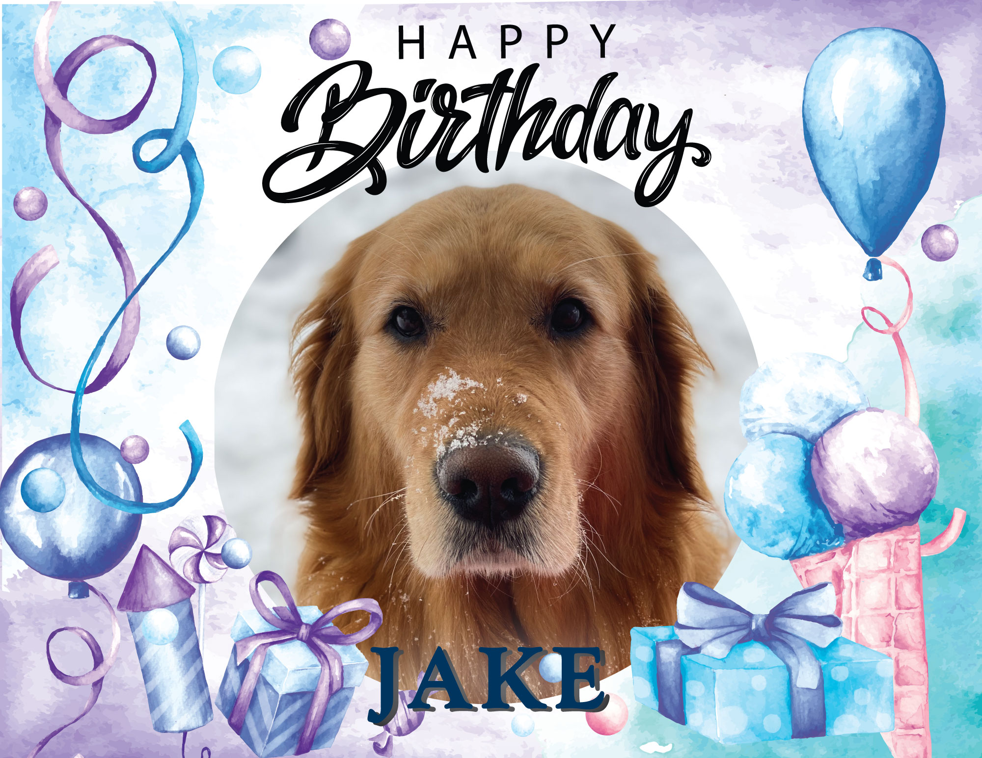 Jake, Connor & Crew on X: "Happy Birthday to the most pawsome "CEO" #JCCJake! The Crew wishes you all the happiness and adventure you can get your paws on! #BestBossEver #dogsoftwitter https://t.co/JDdFVgrvsx" /