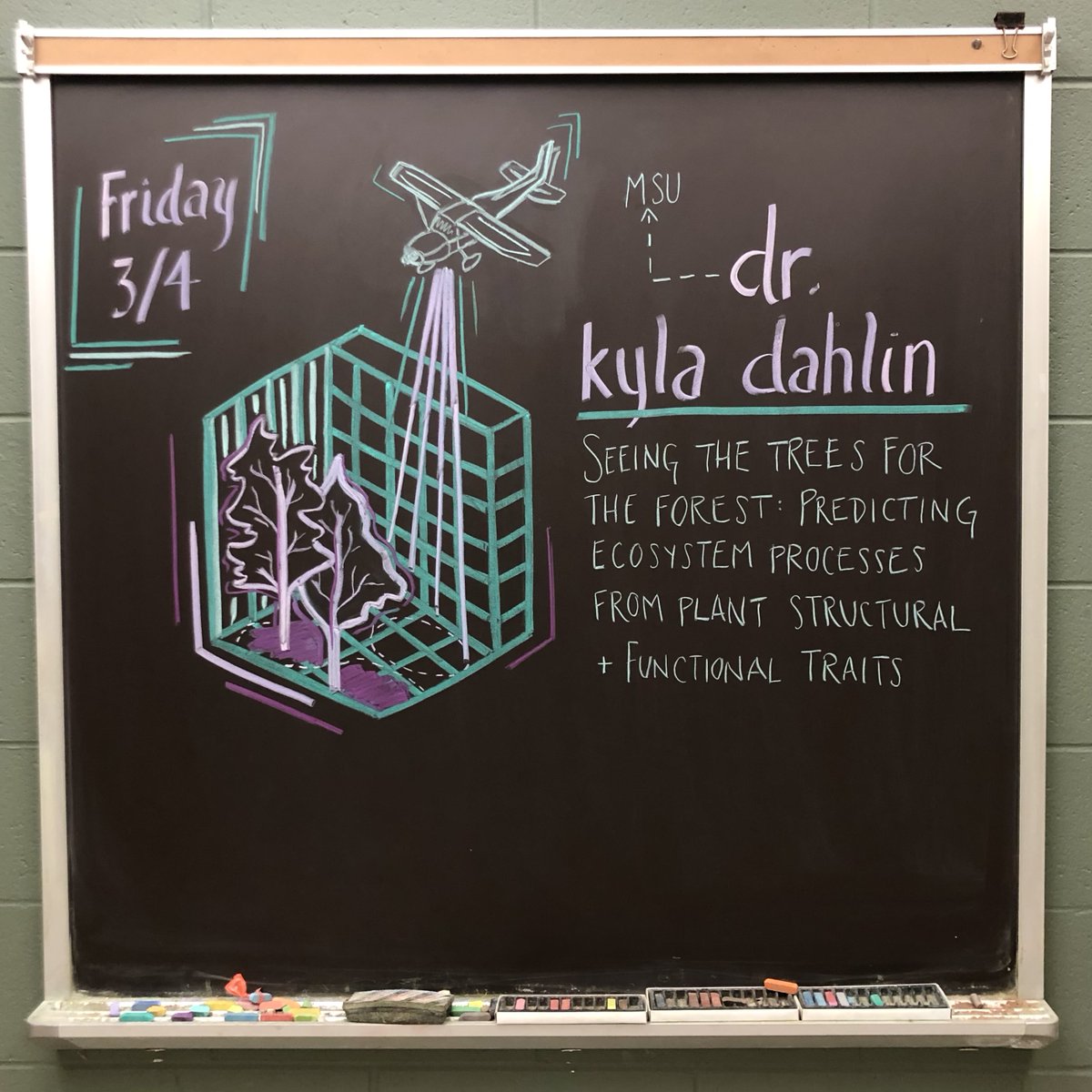 KBSchalkboard's tweet image. We're excited to learn about forest structure and function this Friday with Dr. Kyla Dahlin (@bristleweed) of @GEOatMSU! #MSUKBS #SciArt