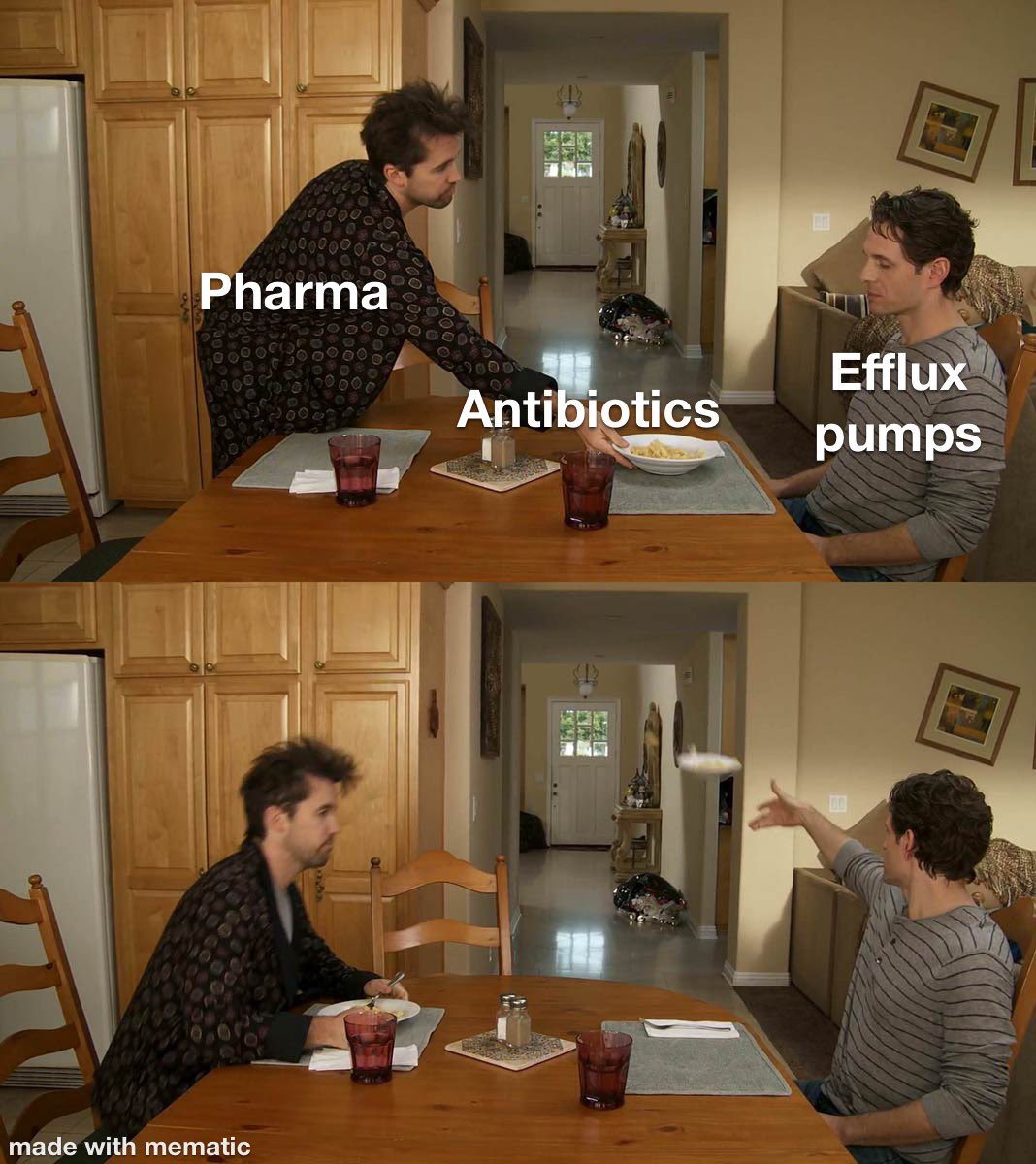 IDstewardship's tweet image. Porin channels
Enzymes
Change in the binding site
…and…